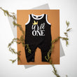 Load image into Gallery viewer, New "Wild One" First Birthday Ringed Romper