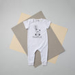 Load image into Gallery viewer, Teddy Bear Themed Slim Fit 1st Birthday Romper