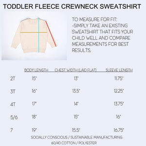 American Mama, American Mini "Mommy And Me" 4th Of July Sweatshirt