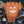 Load image into Gallery viewer, Jack-o-lantern Adult Halloween T-shirts
