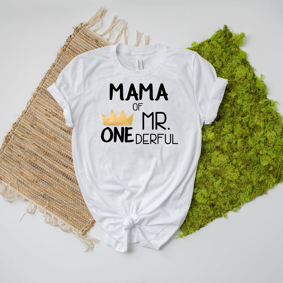Mom, Dad of Mr. Onederful Custom 1st Birthday Family Shirts – 2TroubleBoys