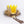 Load image into Gallery viewer, Wild One Gold Crown and Tail with Faux Fur
