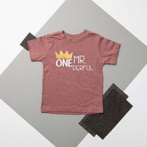 "Mr. Onederful" First Birthday Bodysuit/T-Shirt