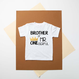 "Sibling of Mr. Onederful" 1st Birthday Brother Sister Family Shirts
