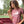 Load image into Gallery viewer, &quot;Save the Animals&quot; Preservation T-Shirt
